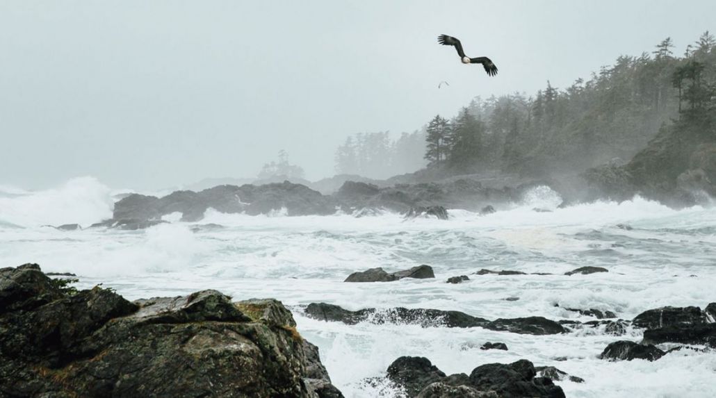 Tofino Storm Watching - Self-Drive Package