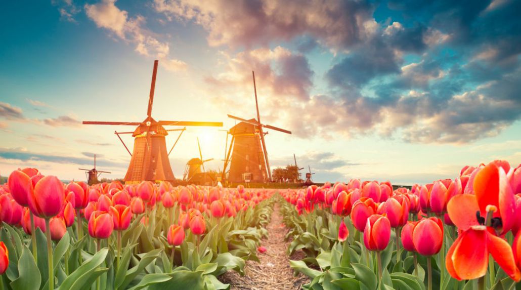 Best of Holland, Belgium and Luxembourg