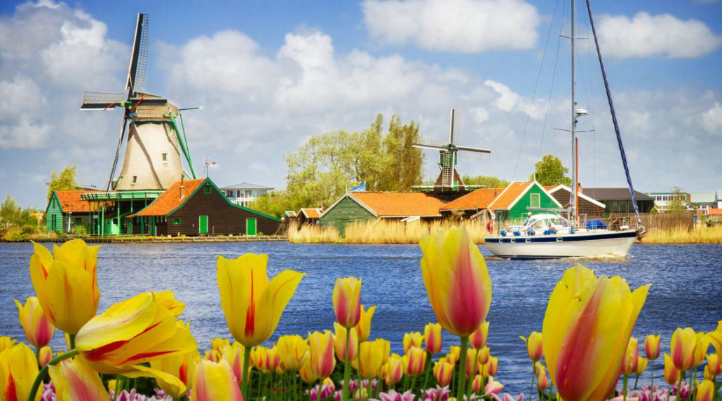 The Netherlands in Bloom With Barb Crowe and Shammi Rathwell