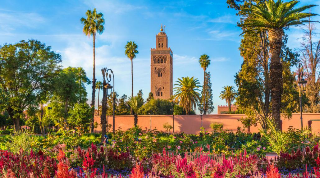 Treasures of Morocco with Insight Vacations
